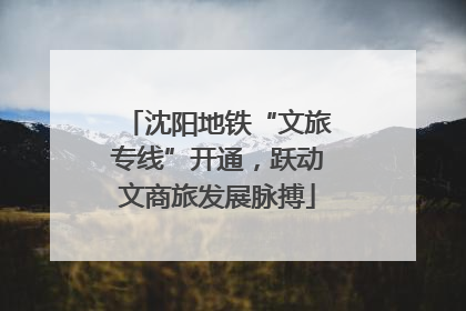沈阳地铁“文旅专线”开通，跃动文商旅发展脉搏