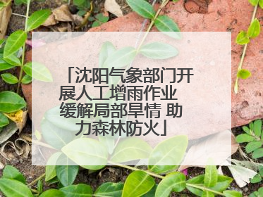 沈阳气象部门开展人工增雨作业 缓解局部旱情 助力森林防火