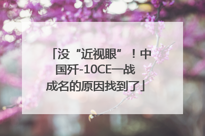 没“近视眼”！中国歼-10CE一战成名的原因找到了