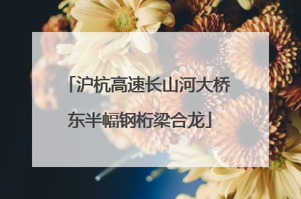 沪杭高速长山河大桥东半幅钢桁梁合龙