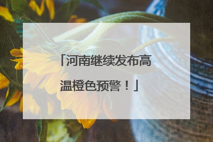河南继续发布高温橙色预警！