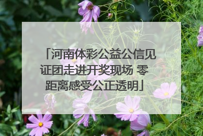 河南体彩公益公信见证团走进开奖现场 零距离感受公正透明