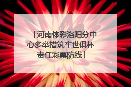 河南体彩洛阳分中心多举措筑牢世俱杯责任彩票防线