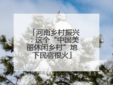 河南乡村振兴：这个“中国美丽休闲乡村”地下民宿很火
