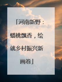 河南新野：蟠桃飘香，绘就乡村振兴新画卷