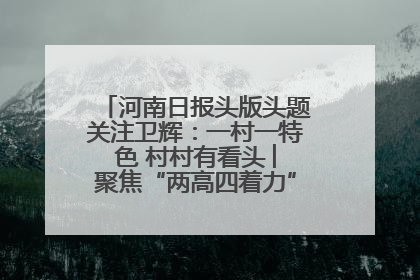 河南日报头版头题关注卫辉：一村一特色 村村有看头 ︳聚焦“两高四着力”·一“县”观察
