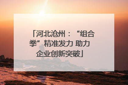 河北沧州：“组合拳”精准发力 助力企业创新突破