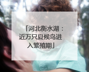 河北衡水湖：近万只夏候鸟进入繁殖期
