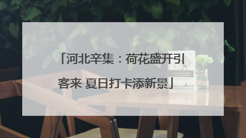 河北辛集：荷花盛开引客来 夏日打卡添新景