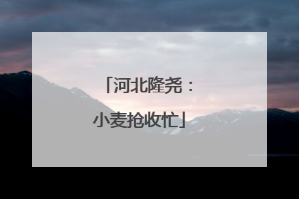 河北隆尧：小麦抢收忙
