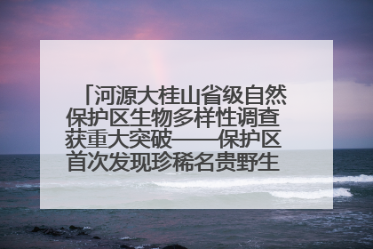 河源大桂山省级自然保护区生物多样性调查获重大突破——保护区首次发现珍稀名贵野生干巴菌与钝尾两头蛇