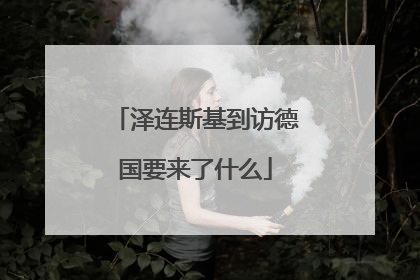 泽连斯基到访德国要来了什么