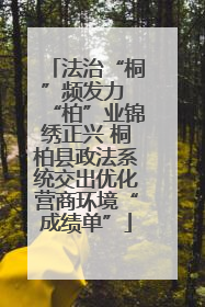 法治“桐”频发力 “柏”业锦绣正兴 桐柏县政法系统交出优化营商环境“成绩单”