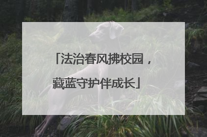 法治春风拂校园，藏蓝守护伴成长