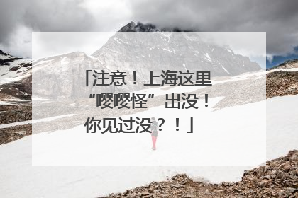 注意！上海这里“嘤嘤怪”出没！你见过没？！
