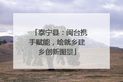 泰宁县：闽台携手赋能，绘就乡建乡创新图景