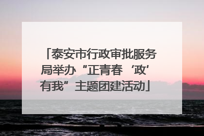 泰安市行政审批服务局举办“正青春‘政’有我”主题团建活动
