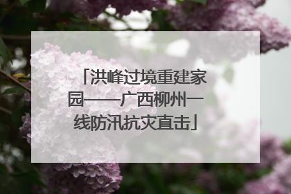 洪峰过境重建家园——广西柳州一线防汛抗灾直击