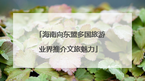海南向东盟多国旅游业界推介文旅魅力