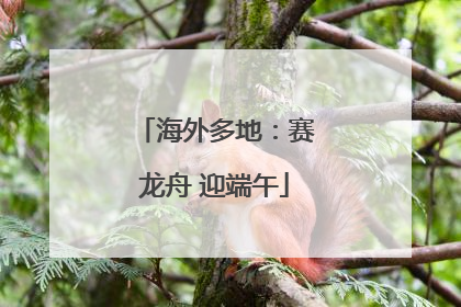 海外多地：赛龙舟 迎端午