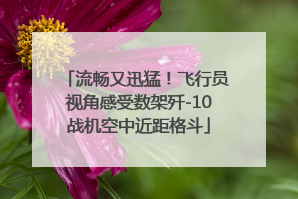 流畅又迅猛！飞行员视角感受数架歼-10战机空中近距格斗