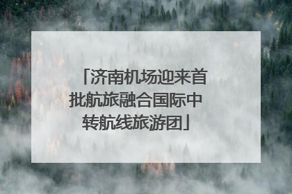 济南机场迎来首批航旅融合国际中转航线旅游团