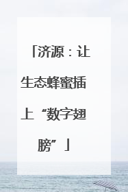 济源：让生态蜂蜜插上“数字翅膀”