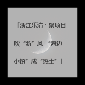 浙江乐清：聚项目吹“新”风 “海边小镇”成“热土”