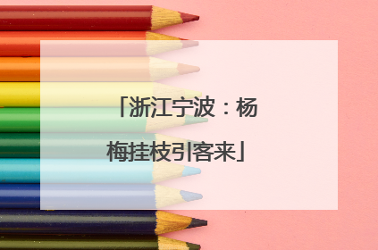 浙江宁波：杨梅挂枝引客来