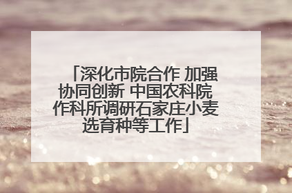 深化市院合作 加强协同创新 中国农科院作科所调研石家庄小麦选育种等工作