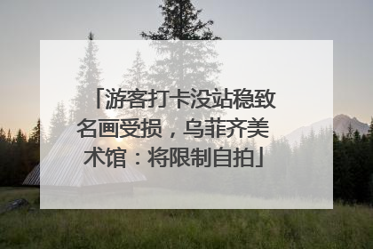 游客打卡没站稳致名画受损，乌菲齐美术馆：将限制自拍