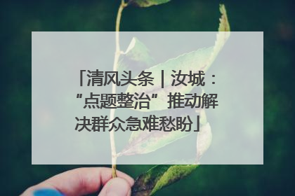 清风头条｜汝城：“点题整治”推动解决群众急难愁盼