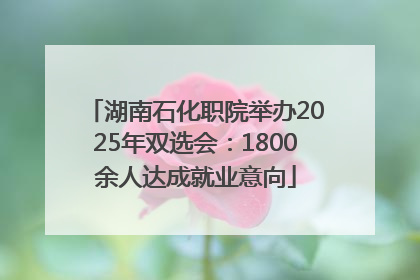 湖南石化职院举办2025年双选会：1800余人达成就业意向