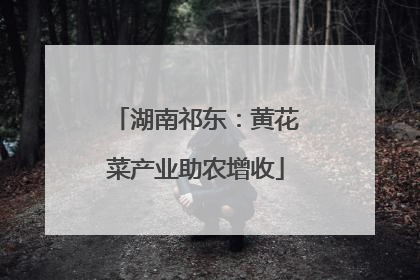 湖南祁东：黄花菜产业助农增收