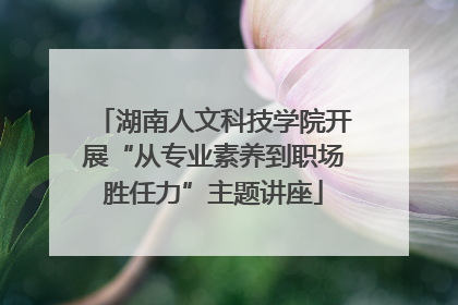 湖南人文科技学院开展“从专业素养到职场胜任力”主题讲座