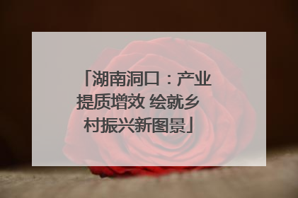 湖南洞口：产业提质增效 绘就乡村振兴新图景