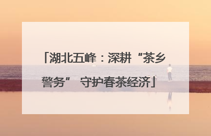 湖北五峰：深耕“茶乡警务” 守护春茶经济