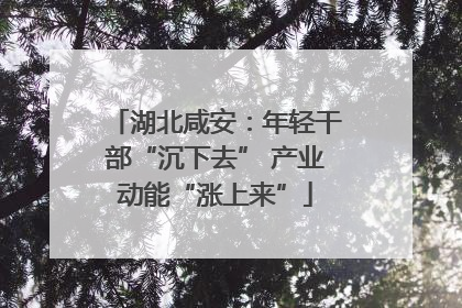 湖北咸安：年轻干部“沉下去” 产业动能“涨上来”