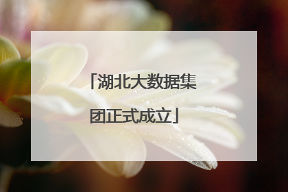 湖北大数据集团正式成立
