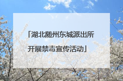 湖北随州东城派出所开展禁毒宣传活动