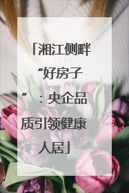 湘江侧畔 “好房子”：央企品质引领健康人居