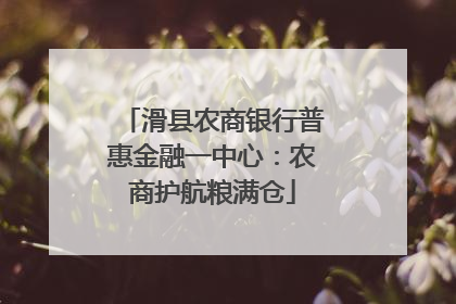 滑县农商银行普惠金融一中心：农商护航粮满仓