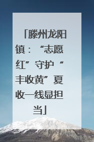 滕州龙阳镇：“志愿红”守护“丰收黄”夏收一线显担当
