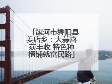 漯河市舞阳县姜店乡：大蒜喜获丰收 特色种植铺就富民路