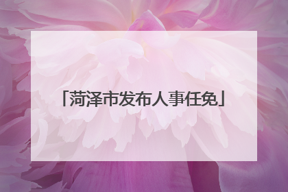 菏泽市发布人事任免