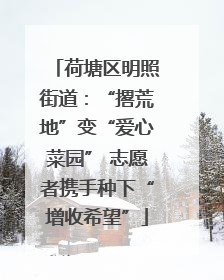 荷塘区明照街道：“撂荒地”变“爱心菜园” 志愿者携手种下“增收希望”