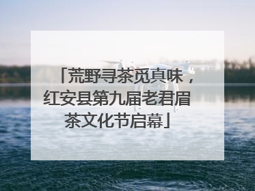 荒野寻茶觅真味，红安县第九届老君眉茶文化节启幕