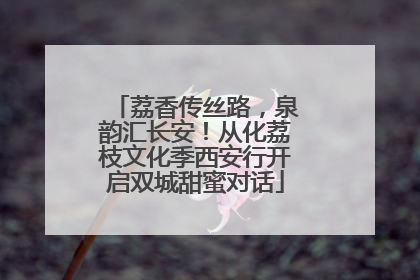 荔香传丝路，泉韵汇长安！从化荔枝文化季西安行开启双城甜蜜对话