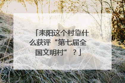 耒阳这个村靠什么获评“第七届全国文明村”？