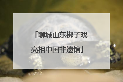 聊城山东梆子戏亮相中国非遗馆